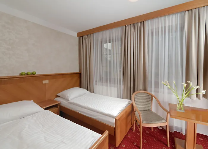 Wellness Windsor 4* Шпіндлерув-Млин