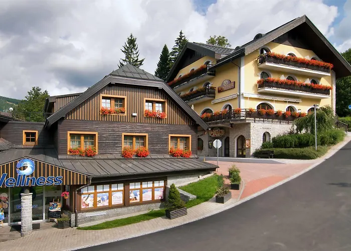 Wellness Windsor Готель