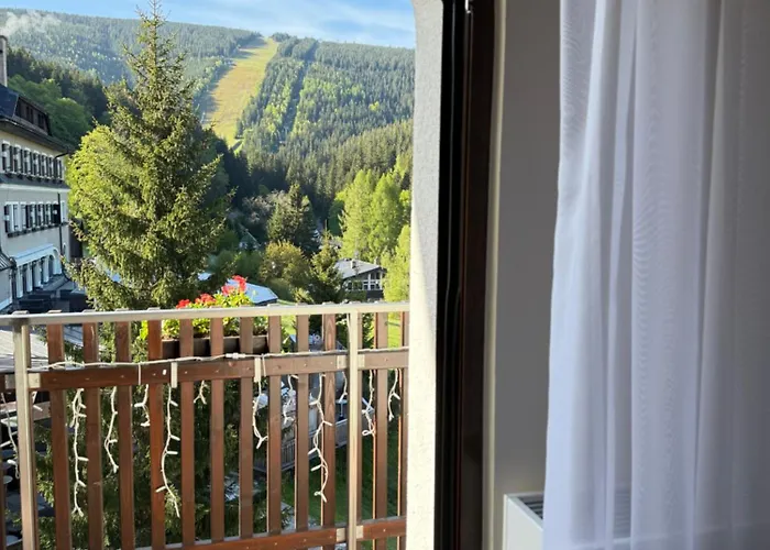 Hotel Wellness Windsor